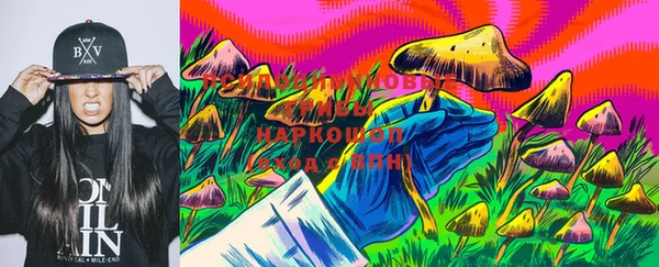 метадон Алексин