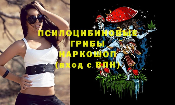метадон Алексин