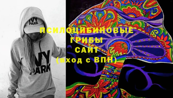 метадон Алексин