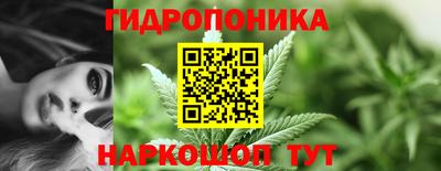 ГАЛЛЮЦИНОГЕННЫЕ ГРИБЫ Шебекино