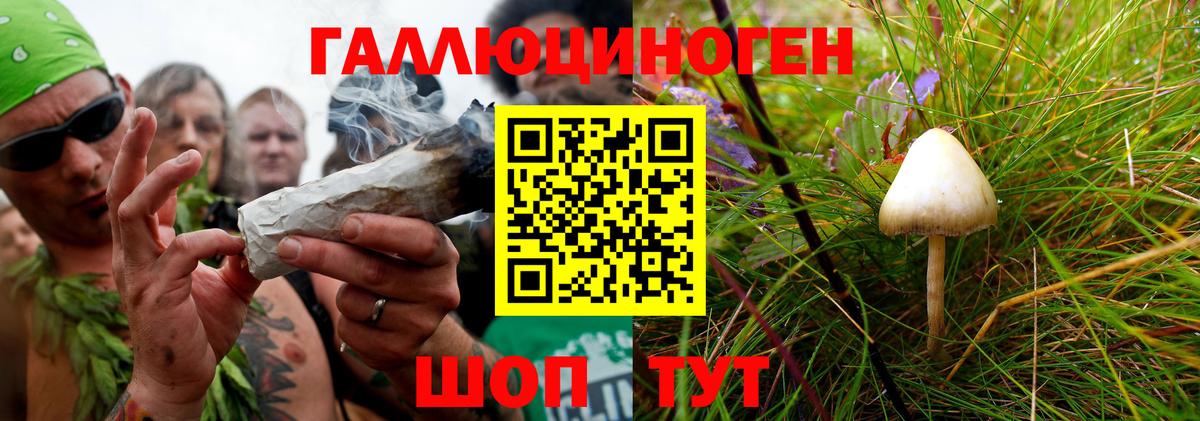 Галлюциногенные грибы GOLDEN TEACHER  Галлюциногенные грибы мухоморы  Вход с VPN  Киреевск 