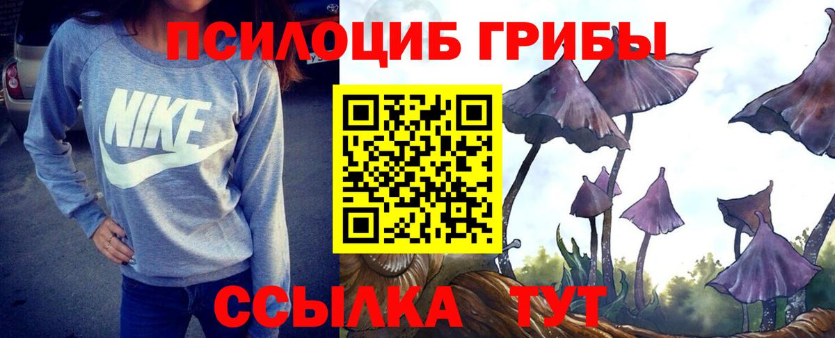 Псилоцибиновые грибы прущие грибы Киреевск